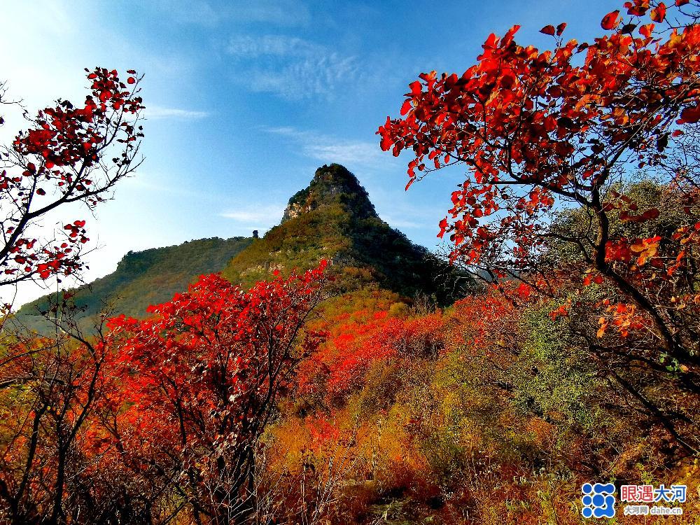 春意闌珊綠未減 山間十月秋色滿 