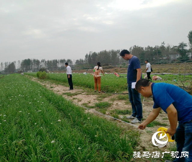 汝南縣梁祝鎮(zhèn)滿永強(qiáng)：從貧困戶變成致富帶頭人