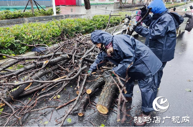 駐馬店市12345政務熱線快速響應 及時處置市民訴求