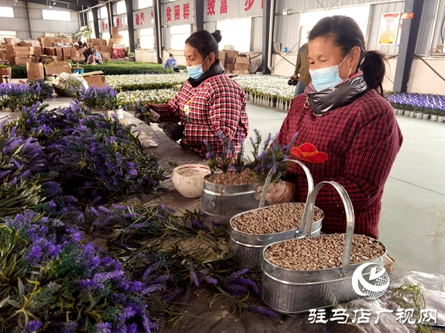 河南駐馬店：仿真花成農(nóng)民致富花