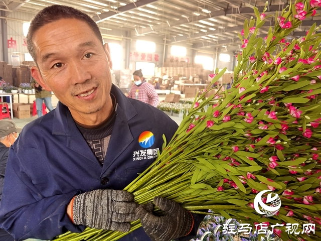 河南駐馬店：仿真花成農(nóng)民致富花