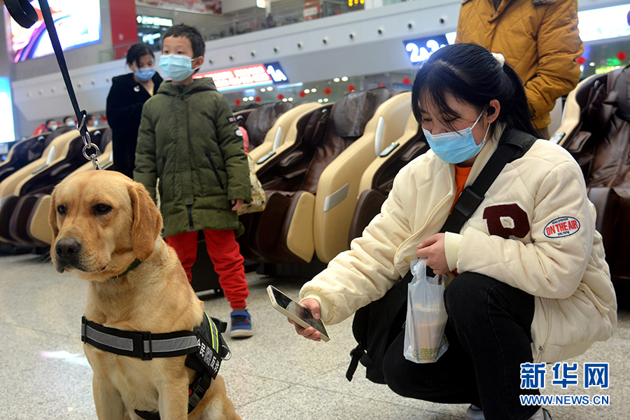 2022年春運(yùn)|警犬變身“反詐推銷員”