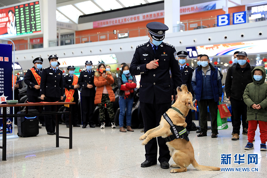 2022年春運(yùn)|警犬變身“反詐推銷員”