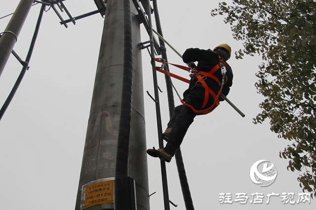 駐馬店供電公司積極應(yīng)對雨雪天氣 確保春節(jié)安全供電