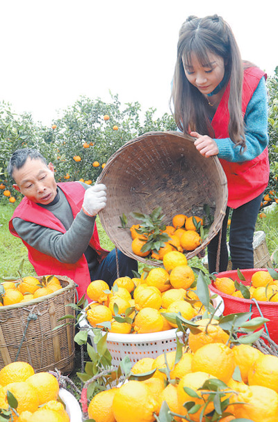 關(guān)注"三農(nóng)"干部:提高工作本領(lǐng) 當(dāng)好"領(lǐng)頭雁"