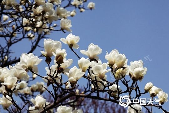 注意！冷空氣來了，部分地區(qū)降溫可達12℃以上