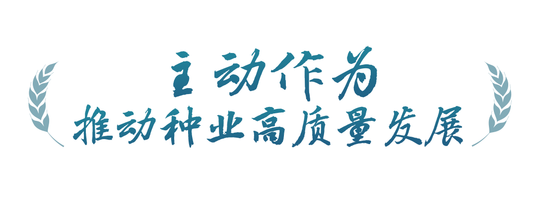 春事看農(nóng)桑丨播下好種子，豐收有底氣