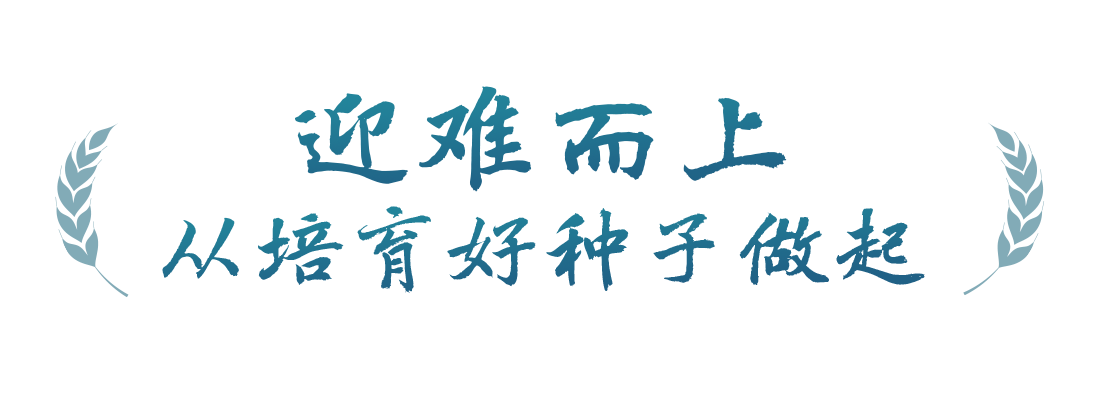 春事看農(nóng)桑丨播下好種子，豐收有底氣