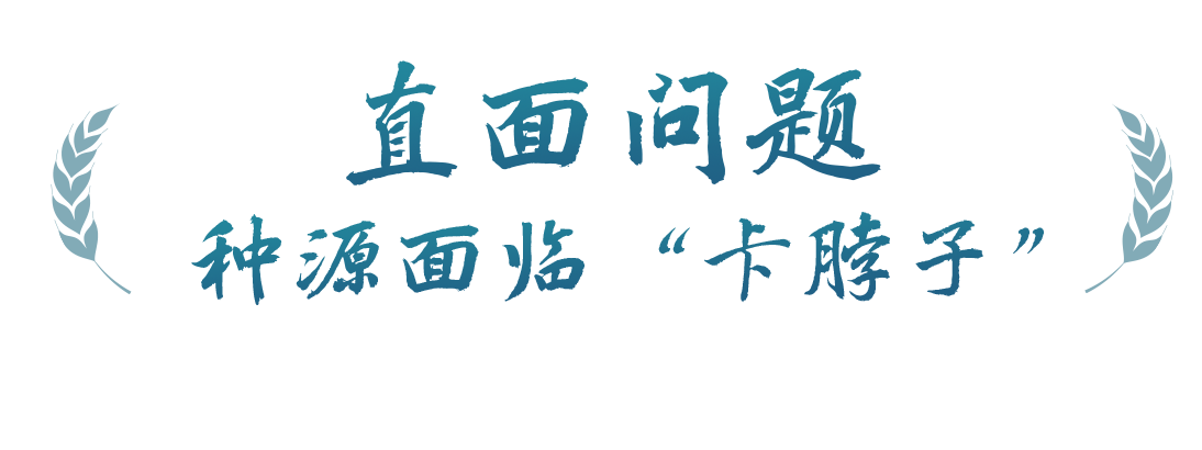 春事看農(nóng)桑丨播下好種子，豐收有底氣