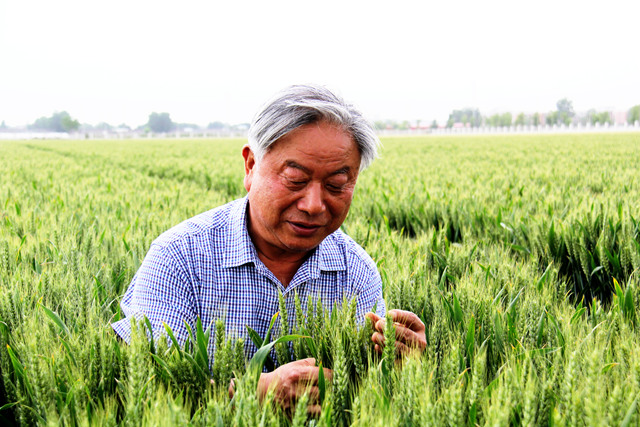 建“農(nóng)谷”育糧“芯”河南布局千億種業(yè)“航母”