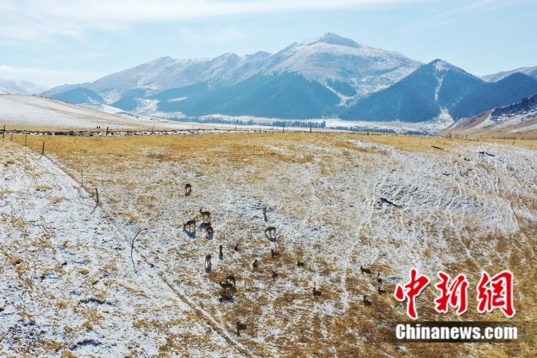 東西問丨李振基：保護(hù)生物多樣性，中國虞衡制度告訴了我們什么？