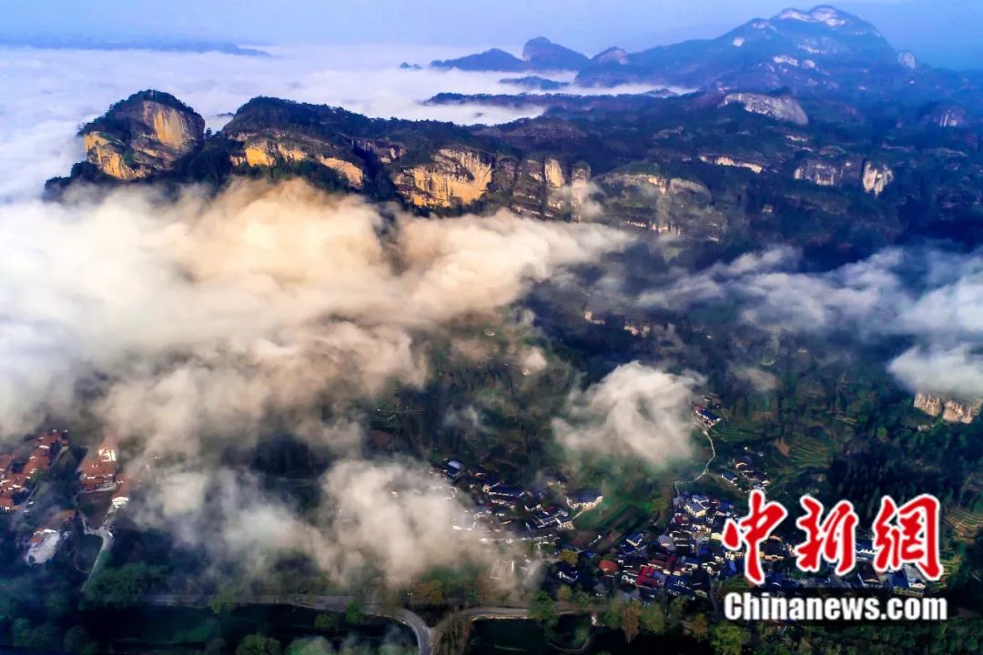 東西問丨李振基：保護(hù)生物多樣性，中國虞衡制度告訴了我們什么？