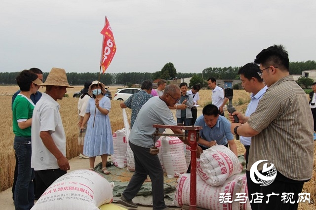 【見證高產(chǎn)奇跡·分享豐收喜悅】——駐馬店市小麥實(shí)打驗(yàn)收單產(chǎn)創(chuàng)新高