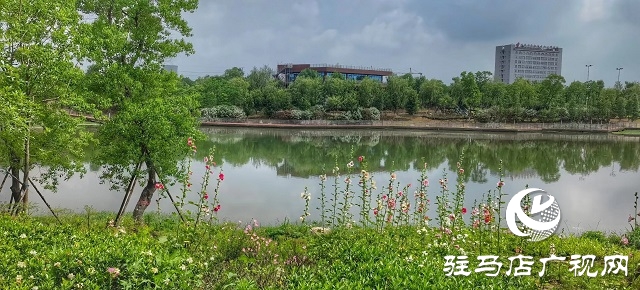 雨后的濱河公園