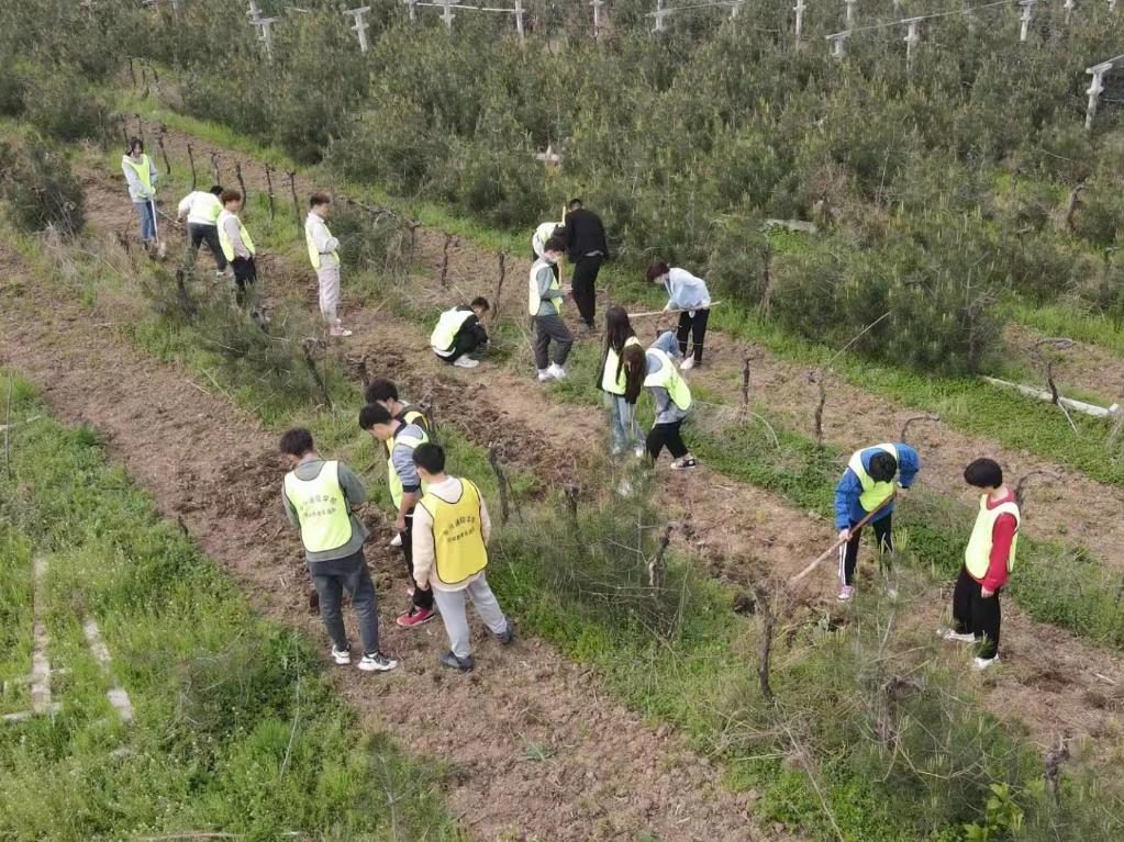 奮進(jìn)新征程 建功新時(shí)代·我們的新時(shí)代丨秦嶺腳下，“95后”新農(nóng)人播撒新希望