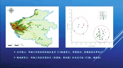 夏朝人種什么、吃什么、得什么病？ 夏文化論壇揭示4000年前的居民身體狀況