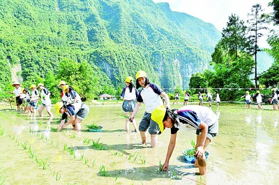 研學旅行走俏：在行走的課堂中，如何讀懂更大的世界