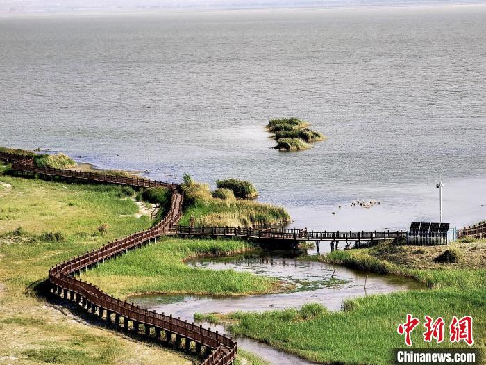 俯瞰柴達木盆地都蘭湖國家濕地公園