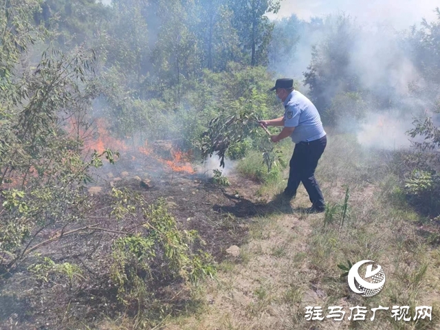 泌陽民警秒變“消防衛(wèi)士”火速處置一起山火險(xiǎn)情