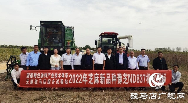 2022年芝麻機(jī)械化收割現(xiàn)場會在駐馬店成功召開