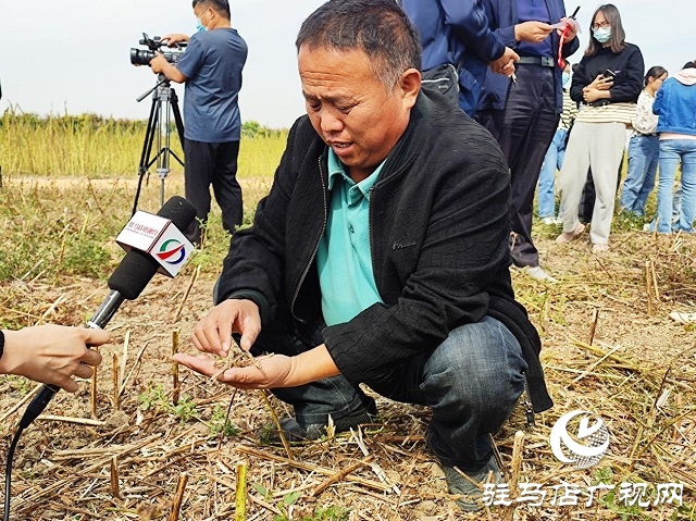 2022年芝麻機械化收割現(xiàn)場會在駐馬店成功召開