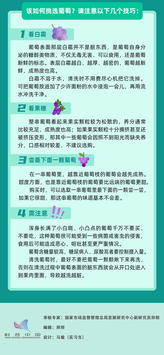 葡萄好吃還得會挑，這些小技巧快快收藏