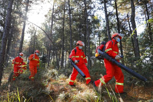 河南進入防火緊要期 全省63個重點林區(qū)實施“空、天、地”一體化全天候監(jiān)測