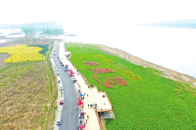 河流潤(rùn)養(yǎng)兩岸 好陽河濕地蕩起入黃最美“生態(tài)漣漪”