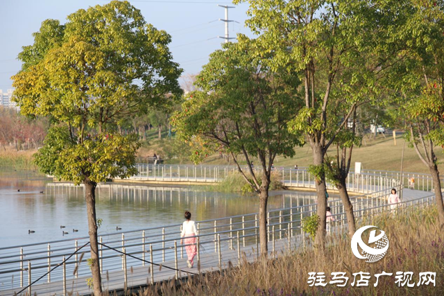 駐馬店市人民公園：初冬美景惹人陶醉