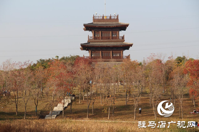 駐馬店市人民公園：初冬美景惹人陶醉