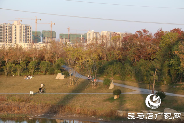 駐馬店市人民公園：初冬美景惹人陶醉