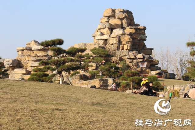 駐馬店市人民公園：初冬美景惹人陶醉