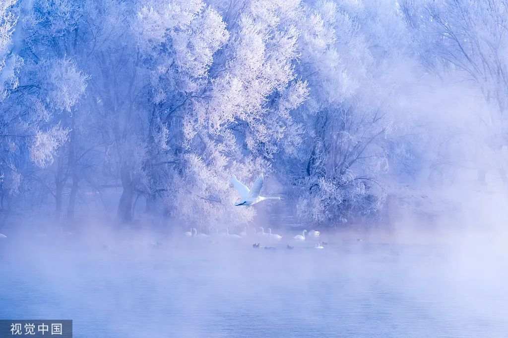 今日大雪｜人間至此雪盛時(shí) 愿君從容安暖