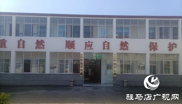 駐馬店：推進標(biāo)準化林業(yè)工作站 夯實基層林長制基礎(chǔ)