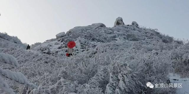 「金頂●冬雪」忽如一夜春風(fēng)來，千樹萬樹梨花開