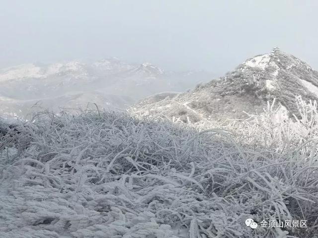 「金頂●冬雪」忽如一夜春風(fēng)來，千樹萬樹梨花開