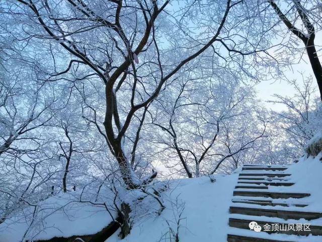 「金頂●冬雪」忽如一夜春風(fēng)來，千樹萬樹梨花開