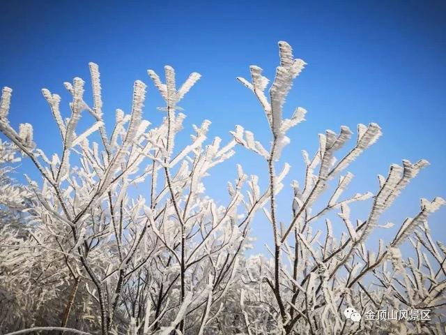 「金頂●冬雪」忽如一夜春風(fēng)來，千樹萬樹梨花開