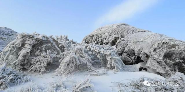 「金頂●冬雪」忽如一夜春風(fēng)來，千樹萬樹梨花開