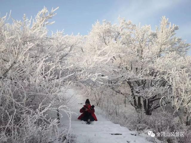 「金頂●冬雪」忽如一夜春風(fēng)來，千樹萬樹梨花開