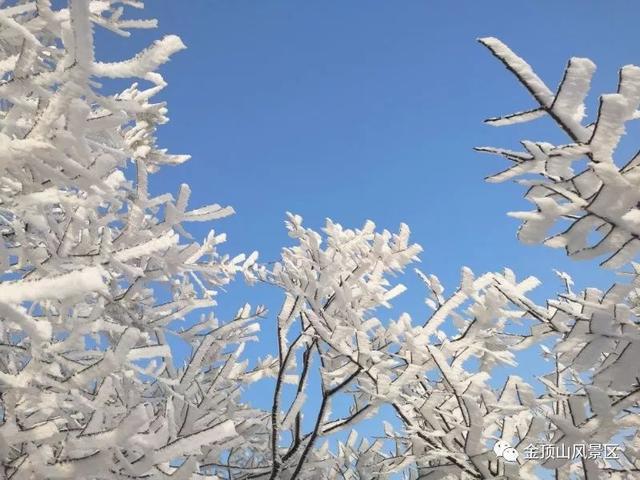 「金頂●冬雪」忽如一夜春風(fēng)來，千樹萬樹梨花開