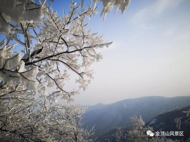 「金頂●冬雪」忽如一夜春風(fēng)來，千樹萬樹梨花開