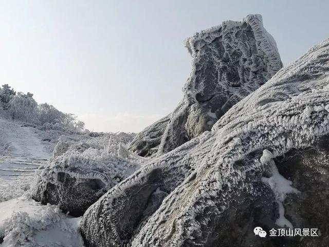 「金頂●冬雪」忽如一夜春風(fēng)來，千樹萬樹梨花開