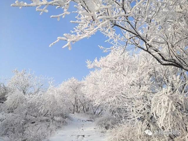 「金頂●冬雪」忽如一夜春風(fēng)來，千樹萬樹梨花開