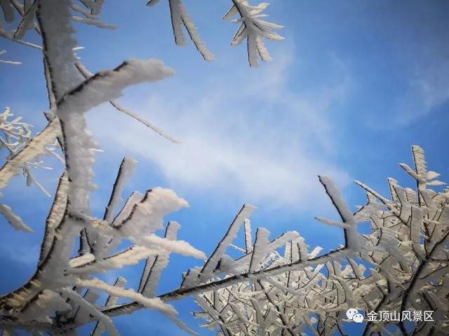 「金頂●冬雪」忽如一夜春風(fēng)來，千樹萬樹梨花開