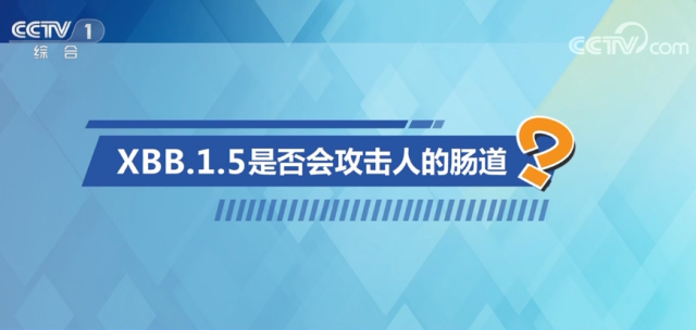 中國疾控中心專家釋疑XBB毒株 回應(yīng)公眾五大關(guān)切問題