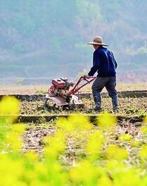 守護(hù)耕地，讓“希望的田野”春意盎然