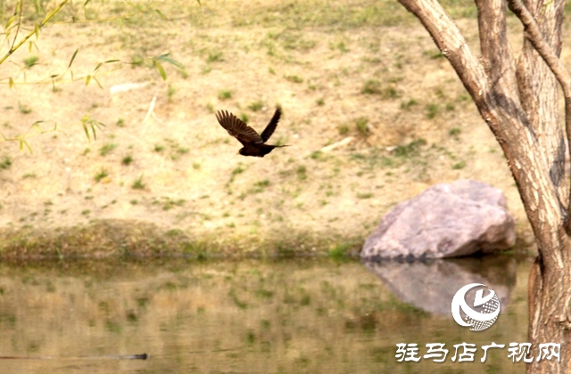 今日驚蟄 萬物生長沐春意