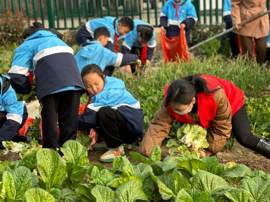 讓雷鋒精神在新時(shí)代綻放更加璀璨的光芒——全國各地第60個(gè)學(xué)雷鋒紀(jì)念日活動(dòng)綜述