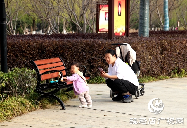 駐馬店開源公園春意正濃 吸引市民踏青健身